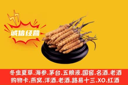 玉林回收冬虫夏草